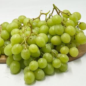 어텀크리스피 씨없는 애플 청포도 1팩당800g 2팩