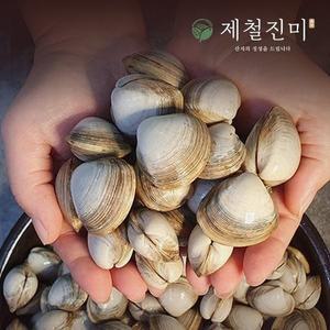 [제철진미] 유네스코 서천갯벌 자연산 제철 동죽조개 4kg 신선한 산소포장 산지직송