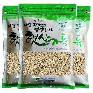 귀리 혼합21곡 500g x 3개 다양한 잡곡이 들어간 혼합잡곡