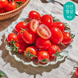 [품질보장] 달콤트리 대추토마토 3KG(사이즈 선택:1~2번)