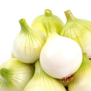 25년 수확 햇 무안 양파 5kg(중 소 혼합)