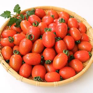 국내산 대추방울토마토 2kg 1-3번과(로얄과) /2개구매시 200g추가 증정