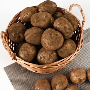 햇감자 포슬포슬 수미감자 특 5kg