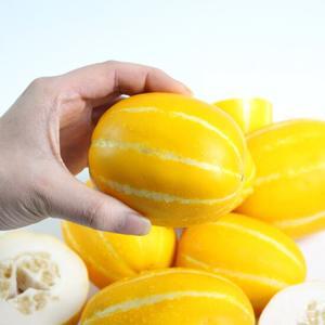 경북 성주 박증자님의 오복 꿀 참외 2kg(6-12과)