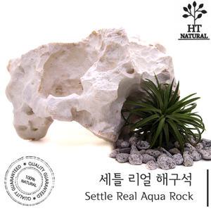 세틀 리얼 해구석 / 수족관 어항 수조 조경석 장식품 돌 꾸미기 세팅 초보 수초 구피 시클리드 해수어 니모
