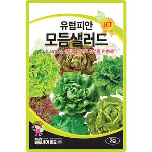 유럽피안모듬샐러드 상추 씨앗 2g 유럽형 고급 샐러드 6종 혼합 상추씨 종자