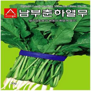아시아 남부춘하열무 씨앗 500g