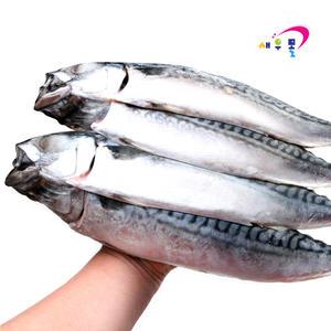 노르웨이 간고등어(특대) 8미 3kg