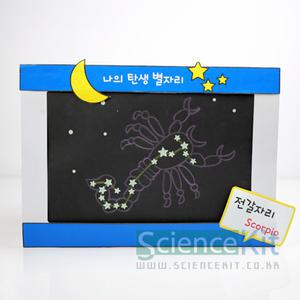 sk 사이언스키트 나의 탄생별자리 4인용 황도 12궁 야광별스티커 탄생별자리액자DIY