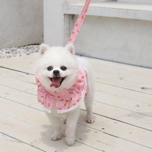 러블리 강아지옷 레이스 고양이옷 하네스 핑크 L (WFFTIKU)