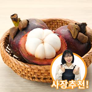 태국 생 망고스틴 500g 1kg