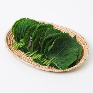 경남 밀양 찹찹이 깻잎 500g(200-250매)