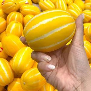 경북 가정용 참외 4kg 랜덤 꼬마 소과