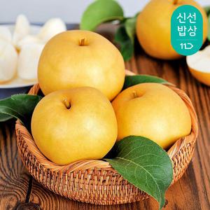 [품질보장] 이룸팜스 나주배 가정용/특품/선물용 3/5/15kg 사과배 과일선물세트