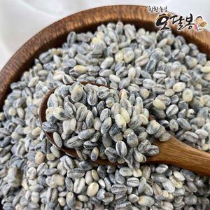 국산 청보리 녹색보리 청맥 5kg