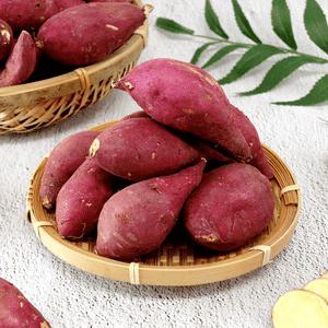 전남 영암 토울고구마 무농약 황토 베니하루카 꿀고구마