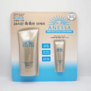 아넷사 퍼펙트 UV 선스크린 스킨케어 젤 엔에이 90g(SPF50+)
