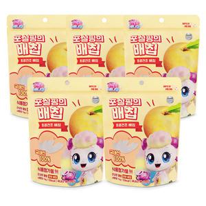 캐치티니핑 동결건조 포실핑의 배칩 5개 천연과일칩 아기과자 간식