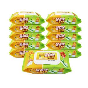 위생대장 물걸레청소포 실속형 중형 30매X10팩 밀대걸레/손걸레/유해세균99.9%살균 소독/두툼/양면사용