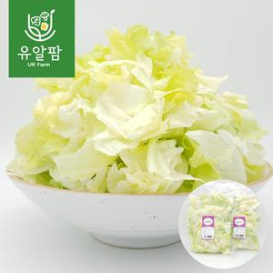 의령농산 유알팜 당일채소 당일제조 당일발송 양상추 컷 샐러드 1kg