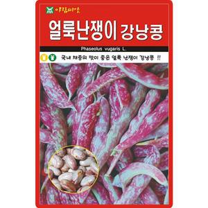 아람종묘 얼룩난쟁이 강낭콩 씨앗 30g 얼룩 난쟁이 강낭콩씨 종자