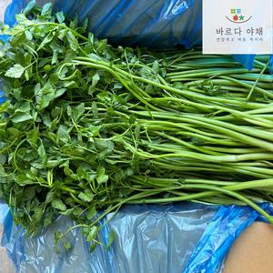 바르다야채 국내산 제철 미나리 1, 2, 4kg