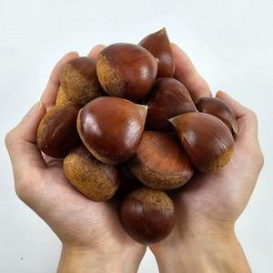 국내산 공주햇밤 특대과 3kg 120과 내외