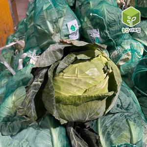 국내산 양배추 2통 4~6kg 내외