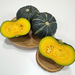 채소다움 25년 햇 수확 국내산 미니 단호박 밤호박 1kg (4~6개)