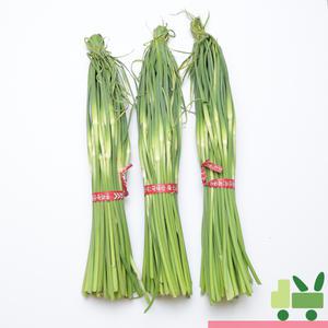 마늘종 (마늘쫑) 8kg