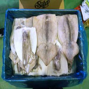 할복오징어 활복 냉동손질오징어 선동 활복 4kg 20-24미 무탈피
