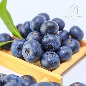 [웰굿] 당일수확 국내산 영동 생 블루베리 500g(특대,16mm이상)