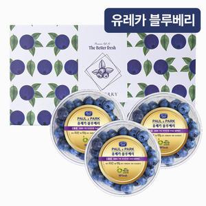 프루미츠 보라색 진주, 생 유레카 블루베리 300g (18mm/특품)