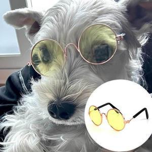 [BZJL71LT_4C]강아지 고양이 선글라스 옐로우 템 여행
