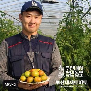 부산대저토마토(M사이즈) 3kg