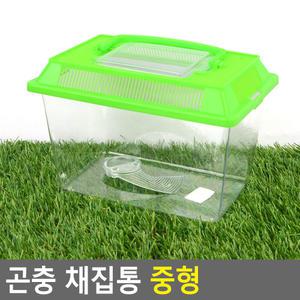 [아이템스팟] 곤충 채집통 중형 1P 색상랜덤 학습 관찰 파충류