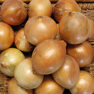 국내산 햇양파 2kg 3kg(중/특상)