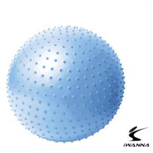 다-이어트 마사지 짐볼 65cm 알라스칸블루 테스볼 아이워너마사지