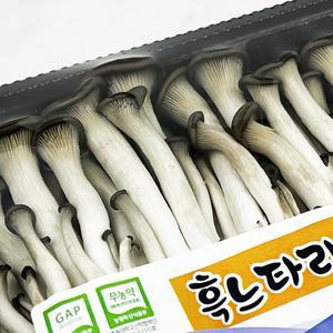 [기타]국내산 참맛타리버섯 애느타리 느타리버섯 팩 200g10개