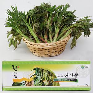 강원도 눈개승마 나물 1kg 인제 눈개승마 삼나물 눈게승마 능개승마 눈개숭마 봄 나물 반찬 거리 삐뚝바리