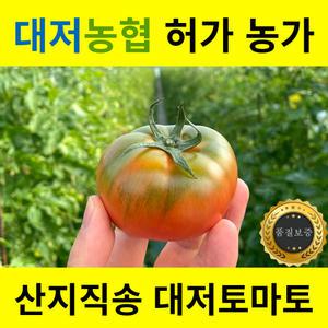 프리미엄 대저 토마토 짭짤이 대저농협 인증농가 출하 2.5KG