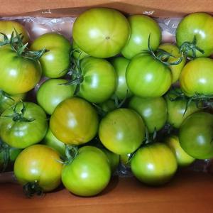농장발송 대저 짭짤이 토마토 3S과 2.5kg
