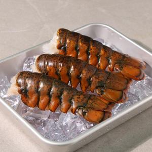 [5월 행사] 랍스터 테일 3마리 (합중량 330g 이상) 랍스타 꼬리
