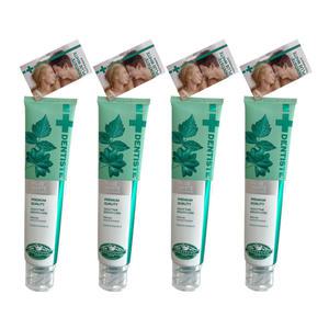 SIAM COSMECEUTICAL 덴티스테 뉴 플러스 화이트 치약 200g 4개 / 써클