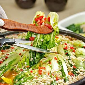 [셰프애찬] 별미 꽁보리 김치 얼갈이 물김치 1kg/캔