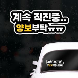 [XBG1044L]양보 초보운전스티커 아이가타고있어요
