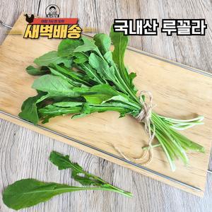 새벽배달 국내산 루꼴라 2kg