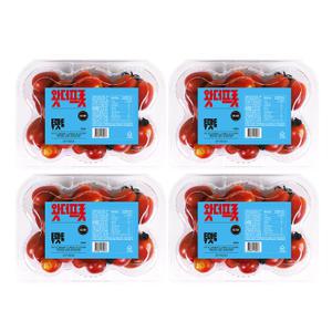 왓더프룻 투맛토 스테비아 방울토마토 망고향 (500g x 4팩)
