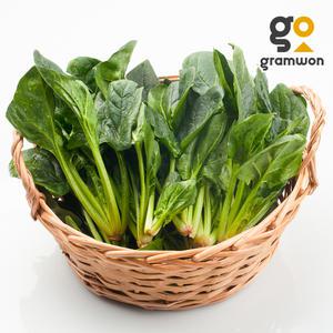 시금치 4KG 국내산 햇 제철 국거리 나물