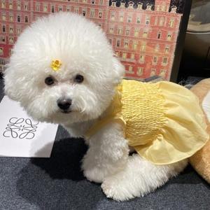 플라워 드레스 강아지 고양이 옷 애견옷 옐로우 XS (WFFTIL0)